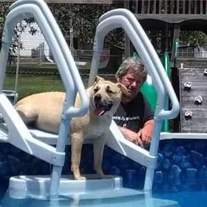 Meet your Posher, Clarence